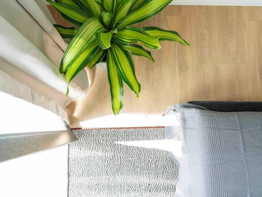 Bright 2Br Apartment - Top Location - City Balcony Bukarest Exteriör bild